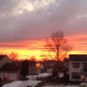 Meet your Posher, Ro